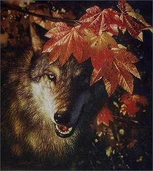 Autumn Encounter by Collin Bogle Pricing Limited Edition Print image
