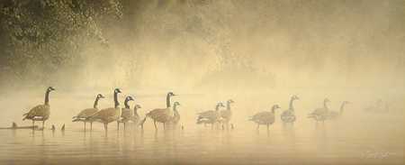 Morning Mist by Collin Bogle Pricing Limited Edition Print image