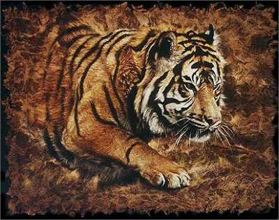 Prowling by Collin Bogle Pricing Limited Edition Print image