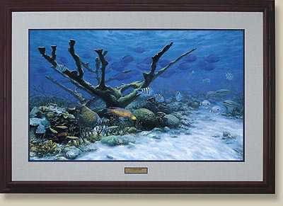 Caribbean Reef by Randall Scott Pricing Limited Edition Print image