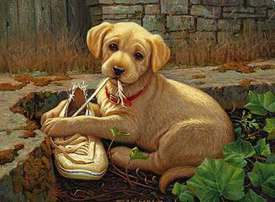 Missing Shoe Choco Lab by Jim D Lamb Pricing Limited Edition Print image