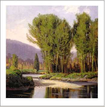Cottonwoods River by Jim D Lamb Pricing Limited Edition Print image