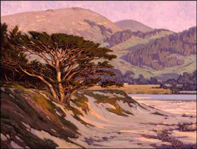 Evening Cypress by Jim D Lamb Pricing Limited Edition Print image