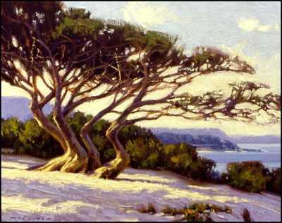 Carmel Cypress by Jim D Lamb Pricing Limited Edition Print image