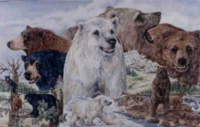 North Amercn Bears by Helen Howerton Pricing Limited Edition Print image