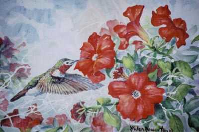 Hummingbird Delight by Helen Howerton Pricing Limited Edition Print image