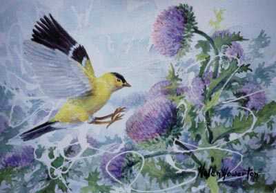 Goldfinch Feast by Helen Howerton Pricing Limited Edition Print image