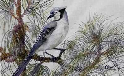 Blue Jay Deceptive by Helen Howerton Pricing Limited Edition Print image