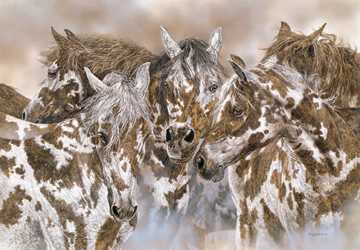 Packherd by Judy Larson Pricing Limited Edition Print image