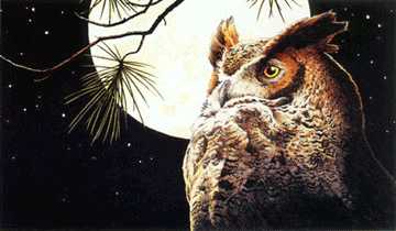 Night Owl by Rod Lawrence Pricing Limited Edition Print image