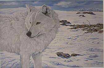 White Hunter by Tyler Thompson Pricing Limited Edition Print image