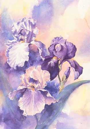 Iris Trilogy by Connie Glowacki Pricing Limited Edition Print image