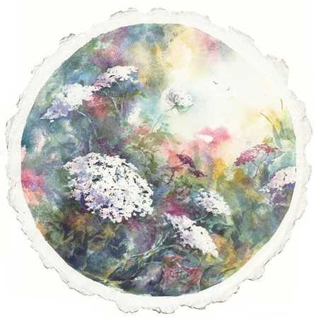 Queen Annes Lace I by Connie Glowacki Pricing Limited Edition Print image