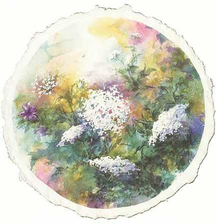 Queen Annes Lace Ii by Connie Glowacki Pricing Limited Edition Print image