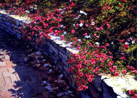 Cascading Blossoms by Connie Glowacki Pricing Limited Edition Print image