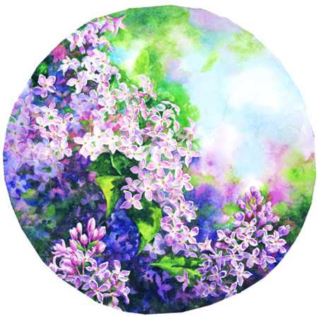 Lilacs Forever I by Connie Glowacki Pricing Limited Edition Print image