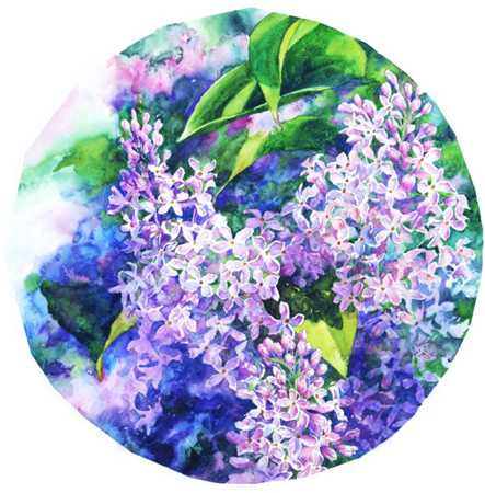 Lilacs Forever Ii by Connie Glowacki Pricing Limited Edition Print image