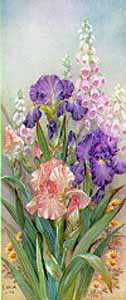 Purple Iris Foxgloves by Lena Liu Pricing Limited Edition Print image
