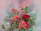 White Eared Hummingbrd by Lena Liu Pricing Limited Edition Print image