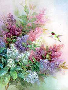 Hummingbird Lilac by Lena Liu Pricing Limited Edition Print image