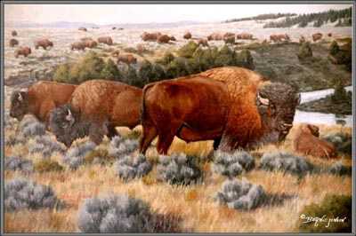 Where Buffalo Roam by Bernie E Jensen Pricing Limited Edition Print image