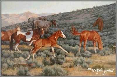 Wild & Free by Bernie E Jensen Pricing Limited Edition Print image