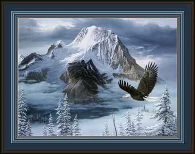 Silent Wings by Fred Buchwitz Pricing Limited Edition Print image