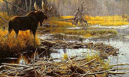 Autumn Overture by Robert Bateman Pricing Limited Edition Print image