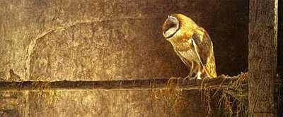 Catching Light Owl by Robert Bateman Pricing Limited Edition Print image