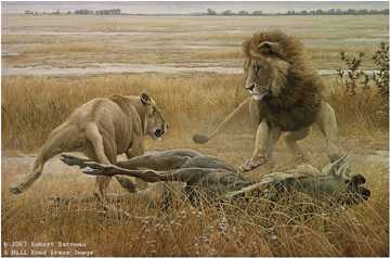 Dispute Over Prey by Robert Bateman Pricing Limited Edition Print image