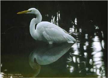 Mangrove Morning by Robert Bateman Pricing Limited Edition Print image