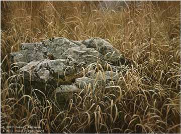 Near Glenburnie by Robert Bateman Pricing Limited Edition Print image