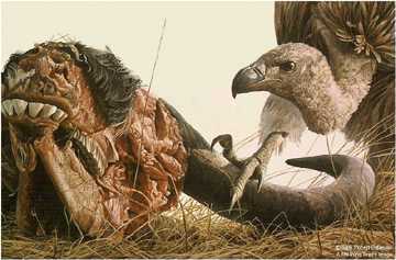 Vulture & Wildebeest by Robert Bateman Pricing Limited Edition Print image