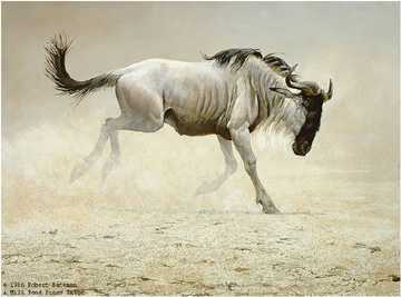 Wildebeest by Robert Bateman Pricing Limited Edition Print image