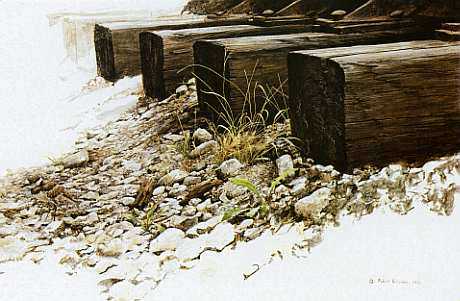 By The Tracks Killdeer by Robert Bateman Pricing Limited Edition Print image