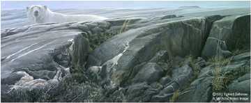 Arctic Landscap by Robert Bateman Pricing Limited Edition Print image