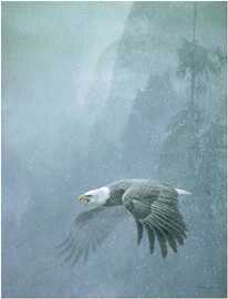 Vigilance by Robert Bateman Pricing Limited Edition Print image