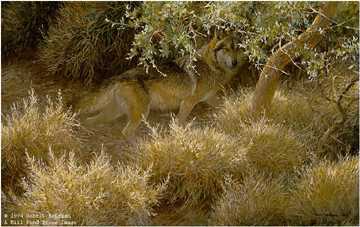 Sierra Evening Wolf by Robert Bateman Pricing Limited Edition Print image