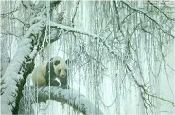 Winter Fil Gian Crystl by Robert Bateman Pricing Limited Edition Print image