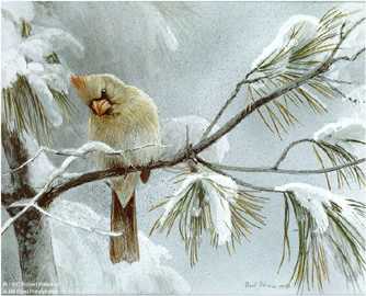 Female Cardinal by Robert Bateman Pricing Limited Edition Print image