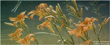 Daylilies Dragonfl by Robert Bateman Pricing Limited Edition Print image