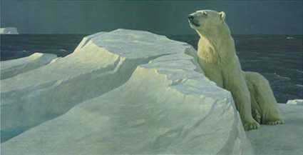 Long Light by Robert Bateman Pricing Limited Edition Print image