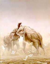 Sparring Elephants by Robert Bateman Pricing Limited Edition Print image