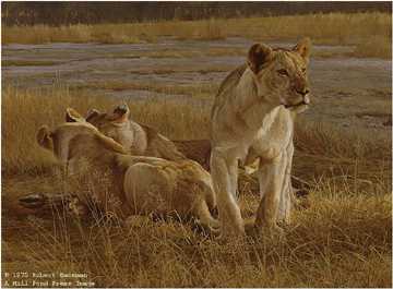 Lions At Dawn by Robert Bateman Pricing Limited Edition Print image