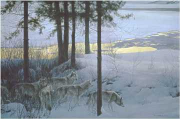 Edge Of Night Wolv by Robert Bateman Pricing Limited Edition Print image