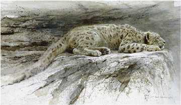 Reclining Snow Leop by Robert Bateman Pricing Limited Edition Print image
