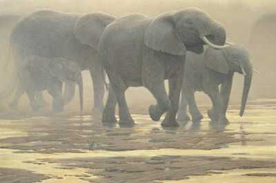 By The River by Robert Bateman Pricing Limited Edition Print image