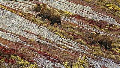 Alaskan Autumn by Robert Bateman Pricing Limited Edition Print image