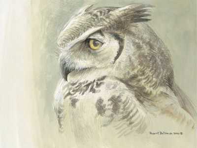 Samantha by Robert Bateman Pricing Limited Edition Print image