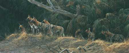 Painted Dogs by Robert Bateman Pricing Limited Edition Print image